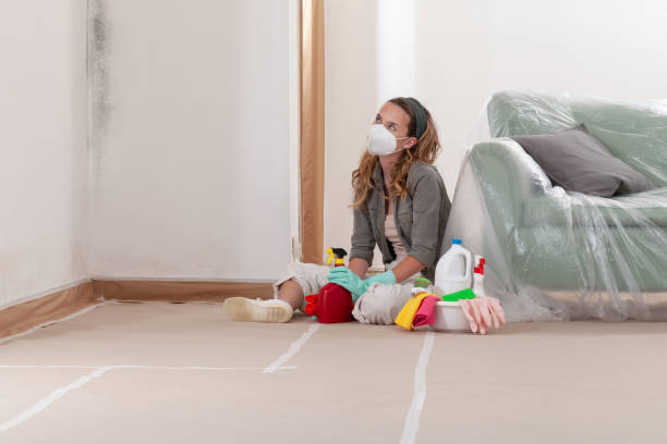 Reliable Mold Inspection And Testing contractor in Washington, NJ by Mold Remediation HQ